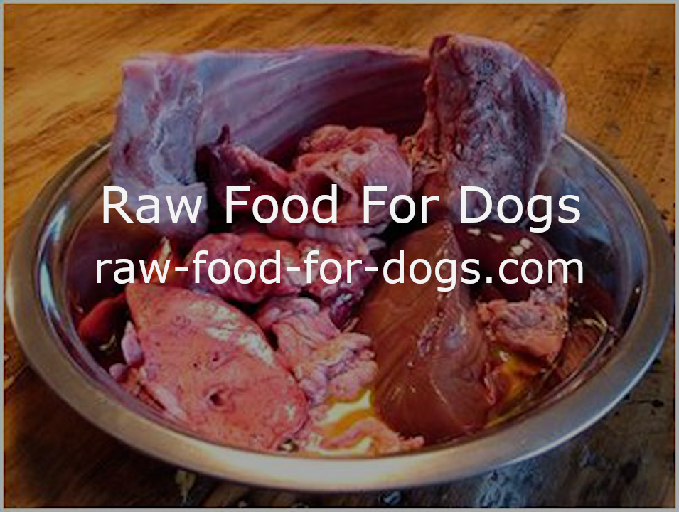 Raw Food For Dogs - A Guide To Raw Dog Food For Beginners