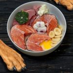 The Benefits of Feeding Raw Dog Food for a Natural Canine Diet